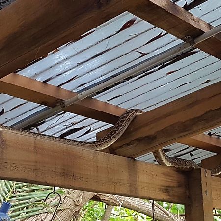 פורט דוגלאס Coral Beach Lodge מראה חיצוני תמונה