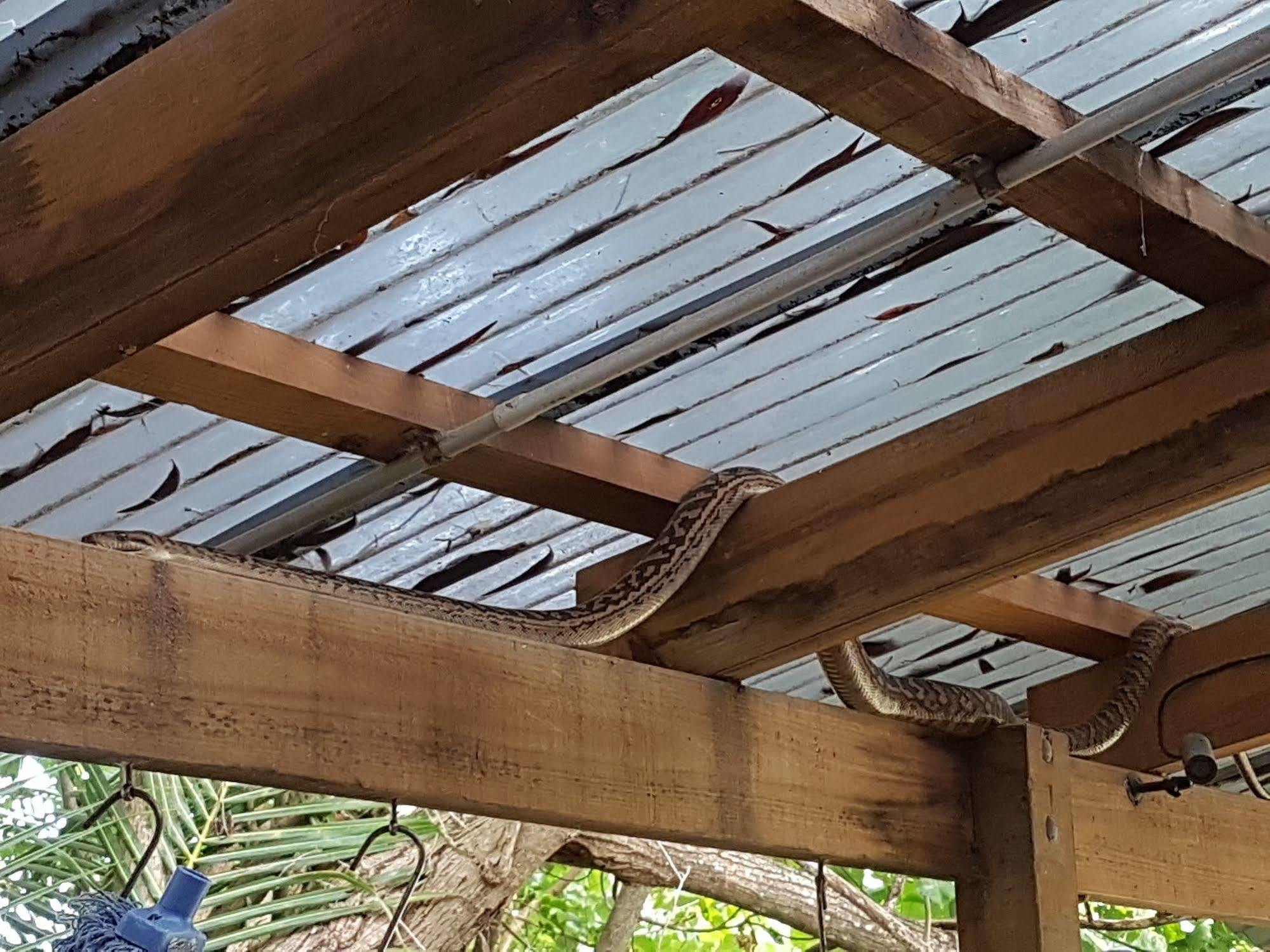 פורט דוגלאס Coral Beach Lodge מראה חיצוני תמונה